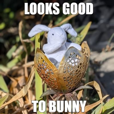 Looks Good to Bunny :lgtb: