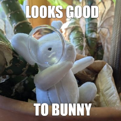 Looks Good to Bunny :lgtb: